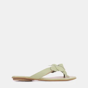 Sandalia Classic Blossom LDL 52210290